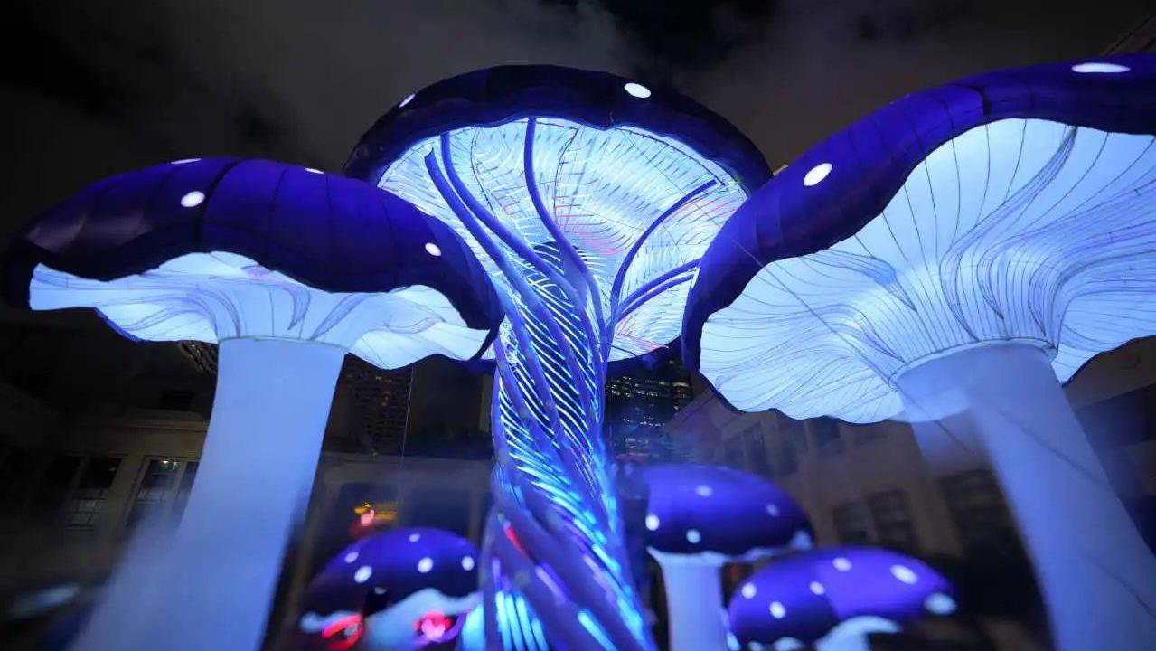 2025澳门历史记录查询