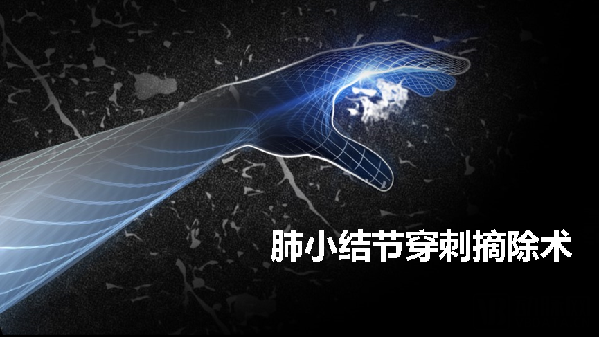 2025澳门历史记录查询
